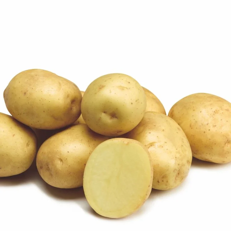 Sättpotatis Twister Kg