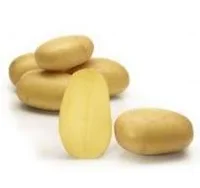 Sättpotatis Queen Anne 1 Kg