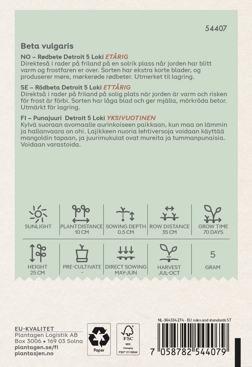 Rödbeta 'Detroit 5 Loki'