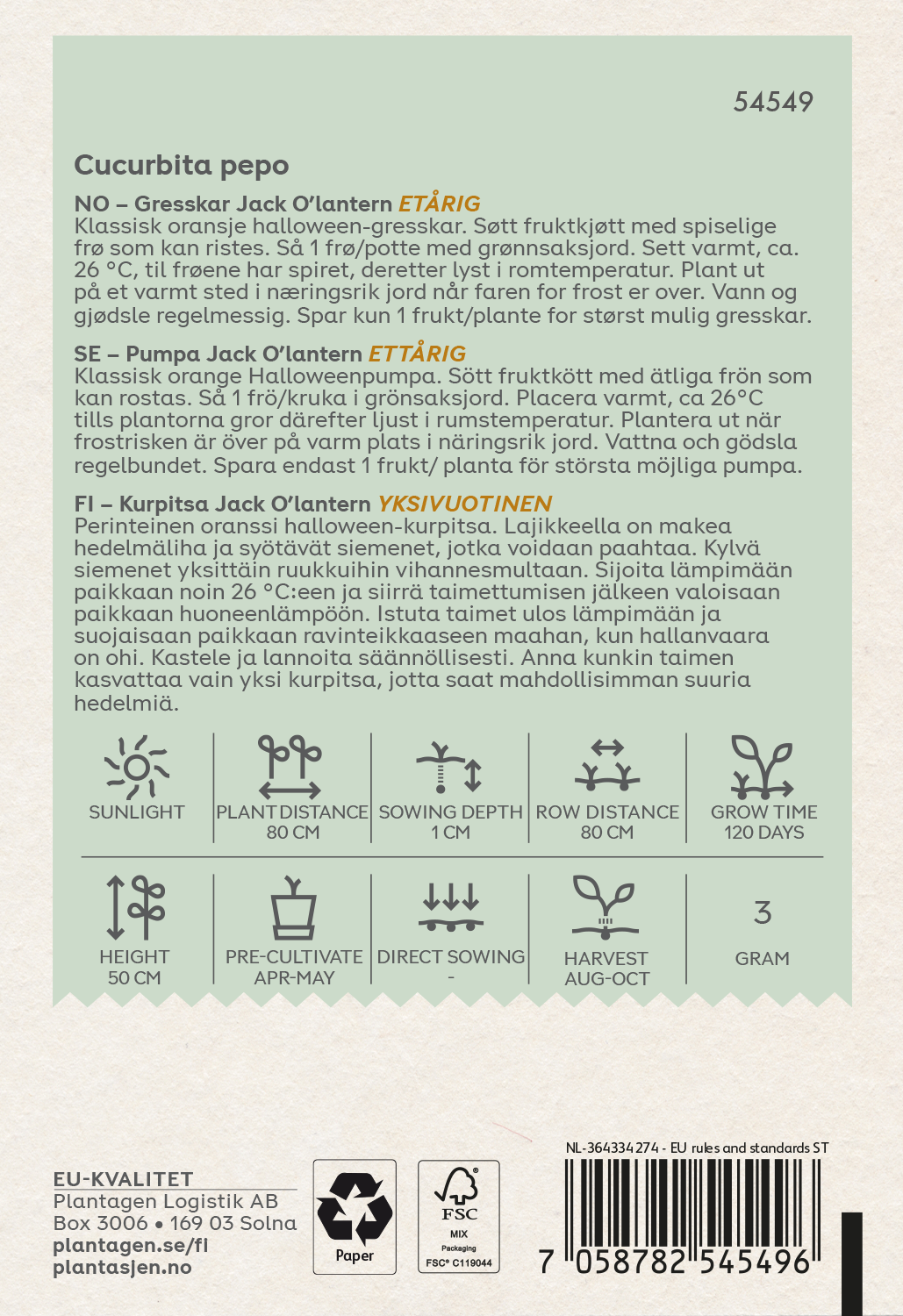 Pumpa 'Jack o'lantern'