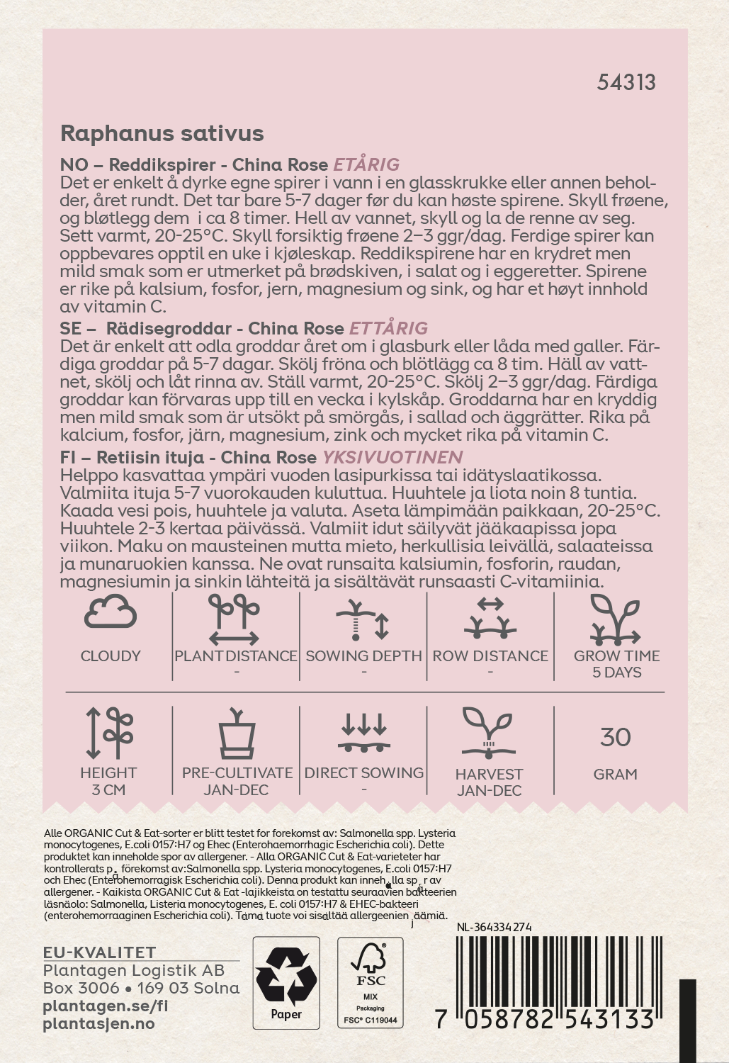 Spirer Reddik 'China Rose'