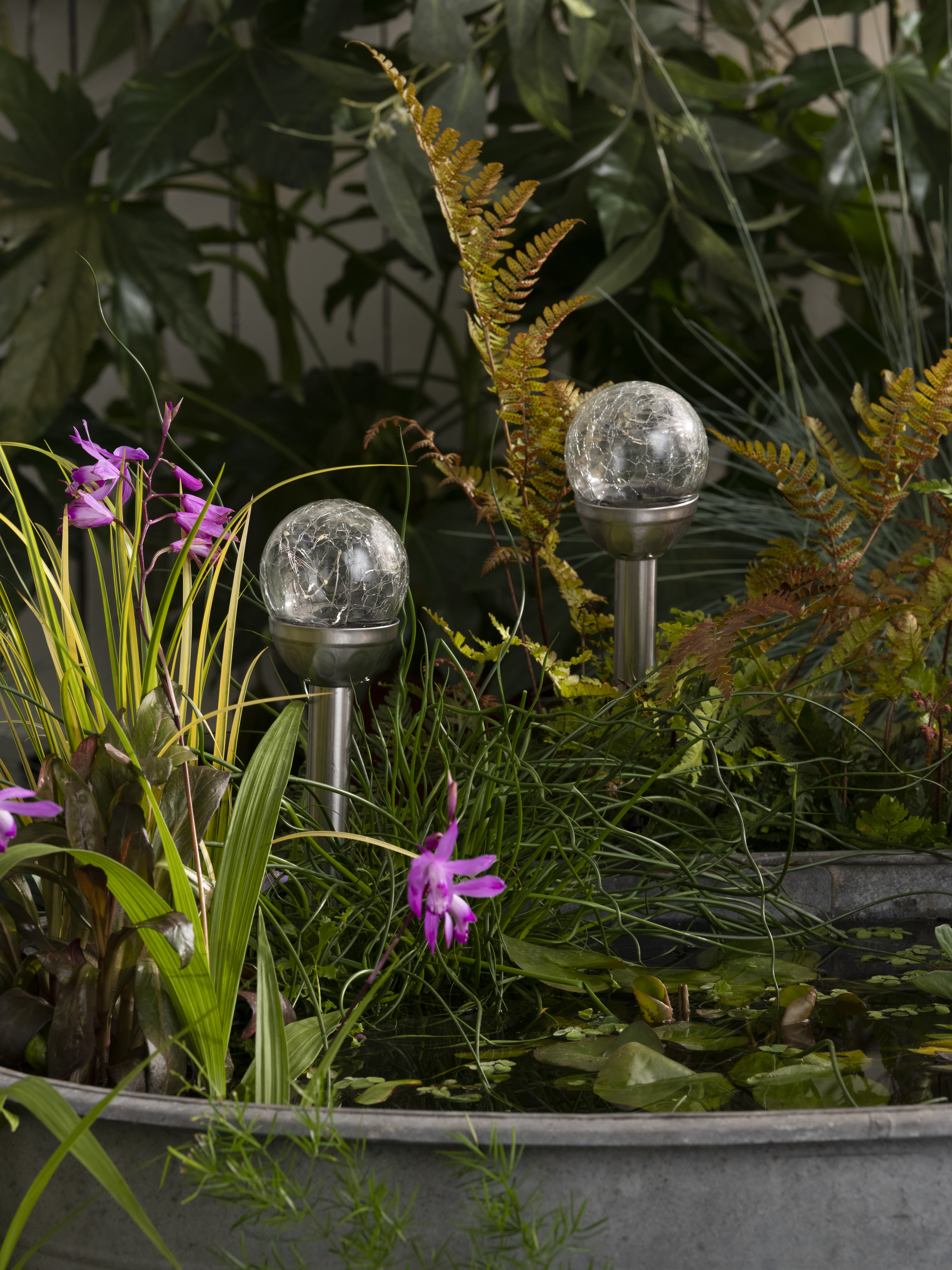 Solcellelampe Conga