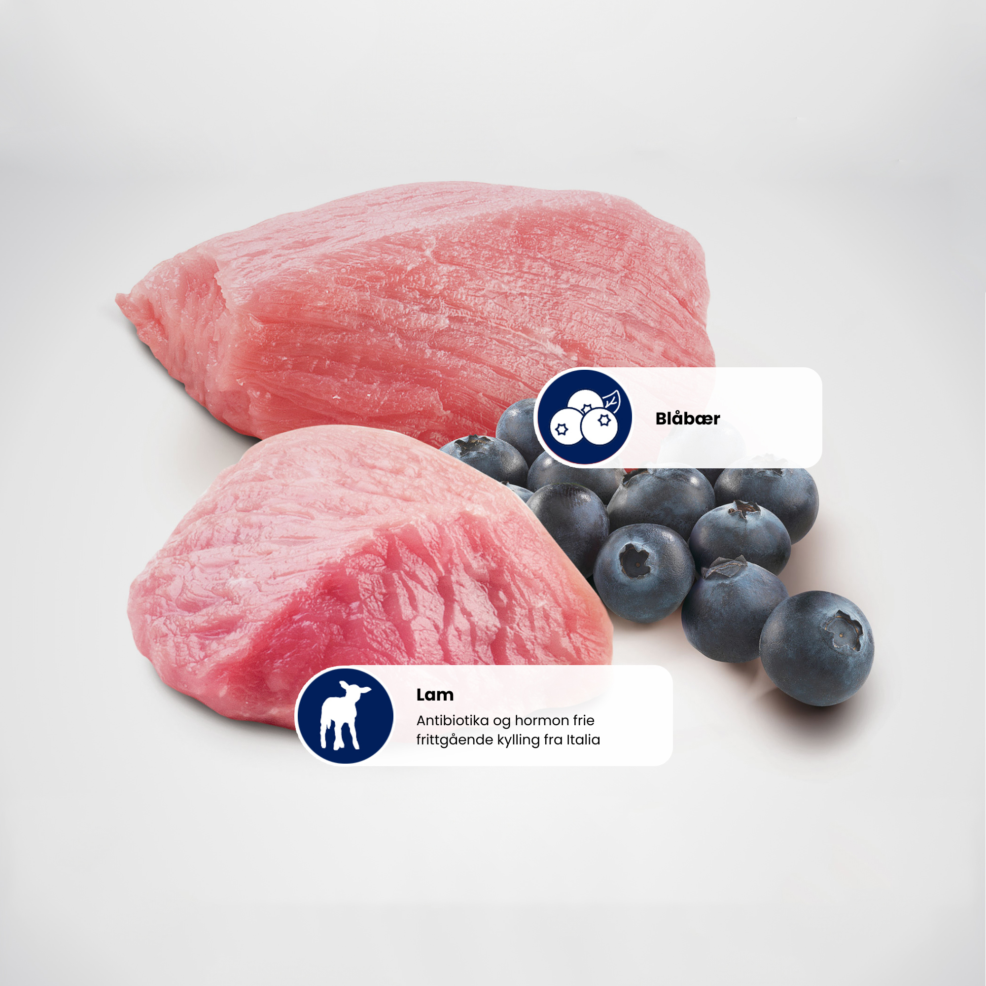 N&D Cat Prime Lamb&Blue. Adult 70g