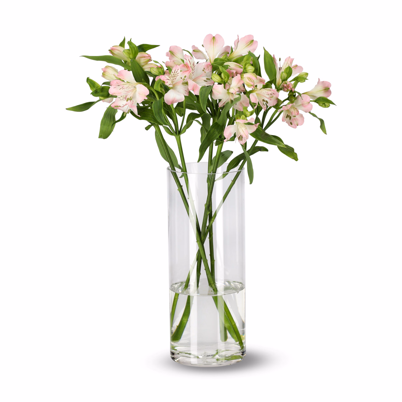 Alstroemeria mix 5 pk