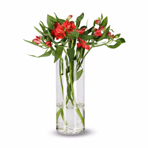 Alstroemeria mix 5 pk