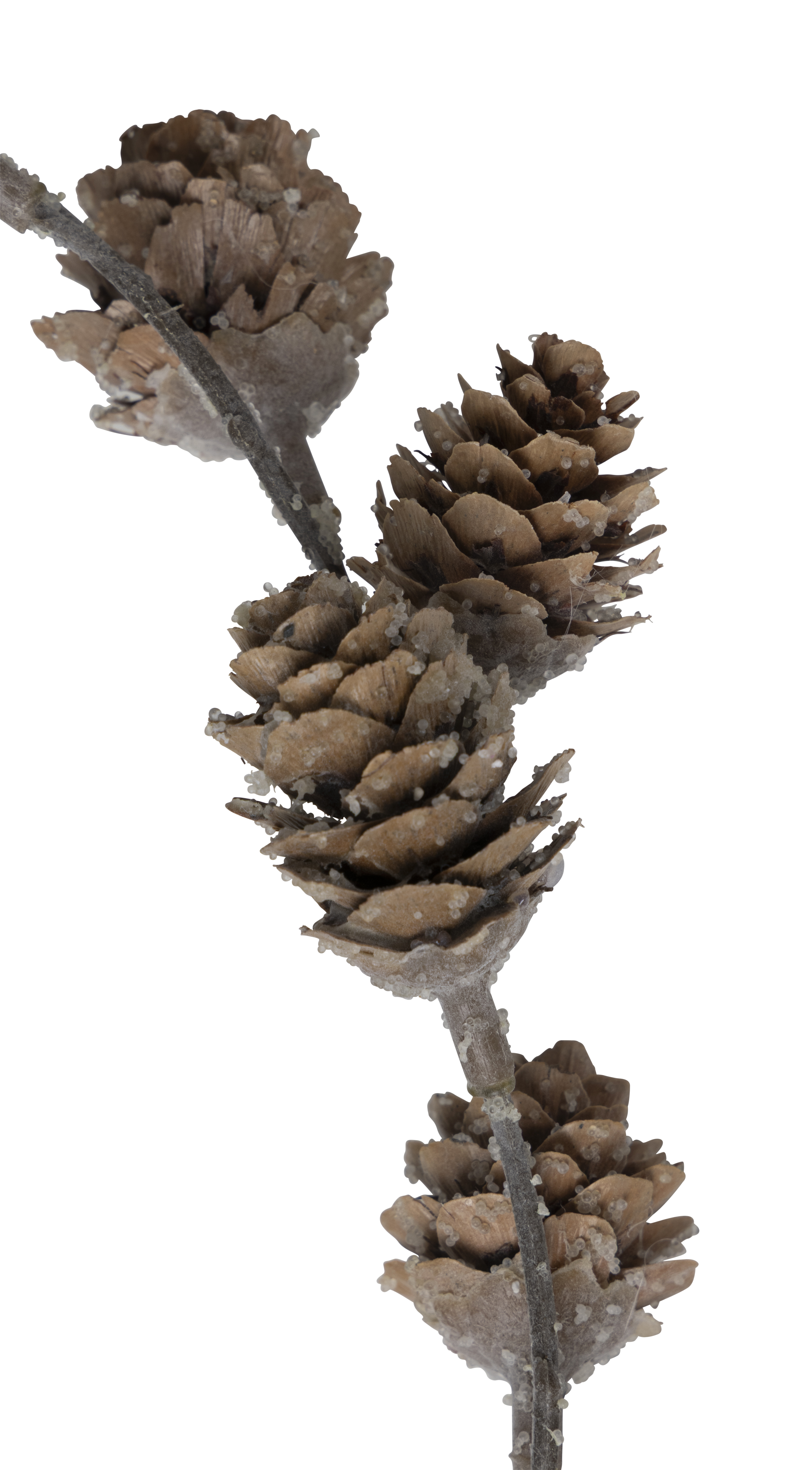 Girland Pinecone