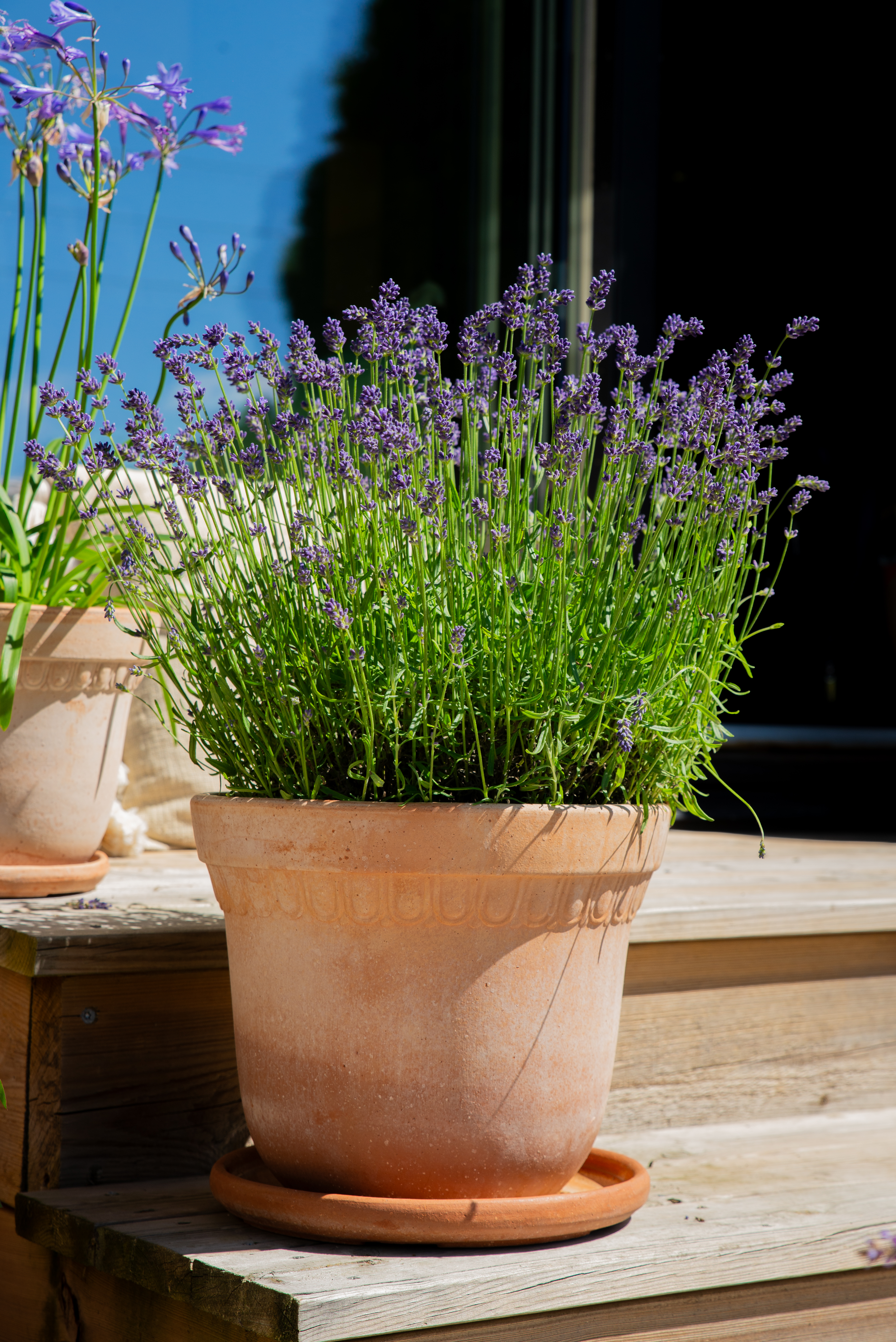 Verona pot D30 terracotta