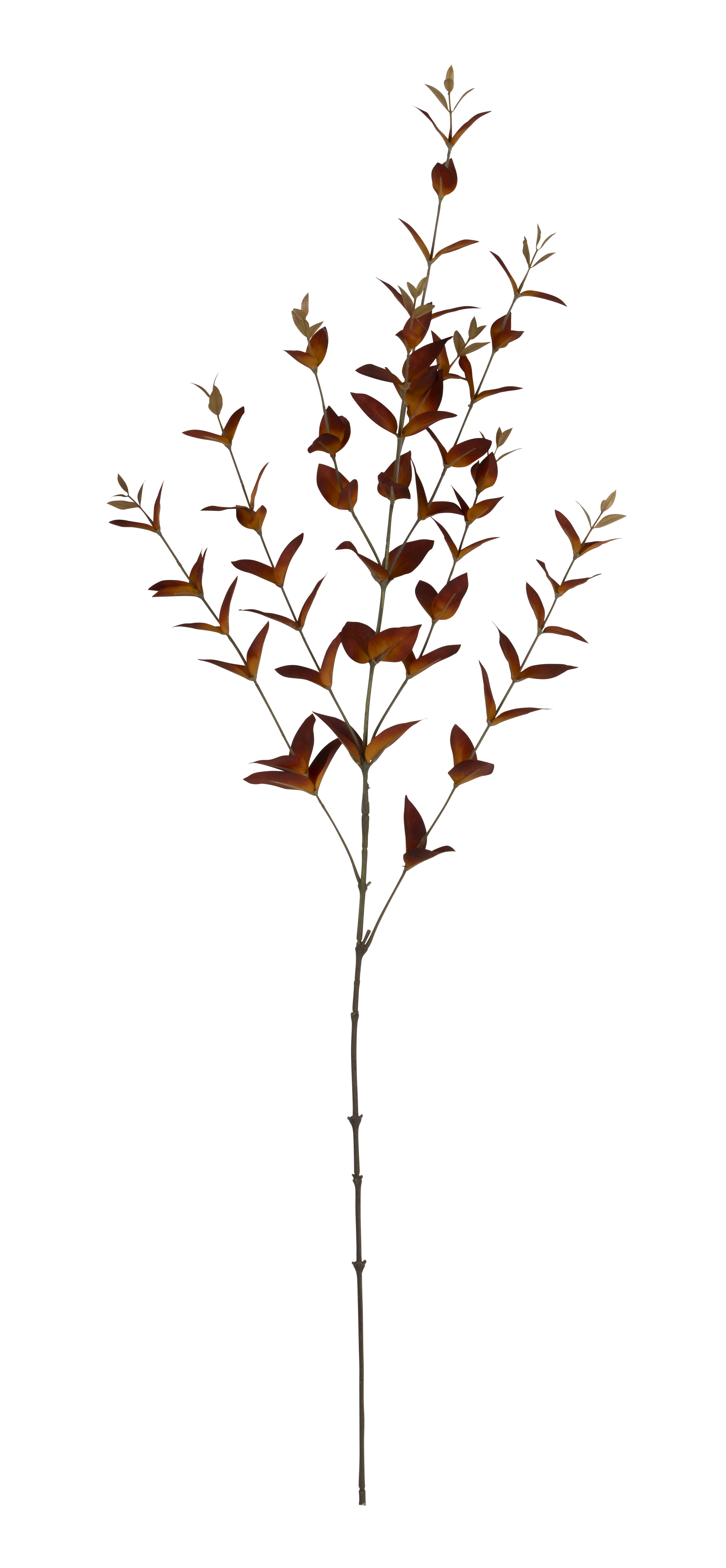 Kvist høstblader kunstig