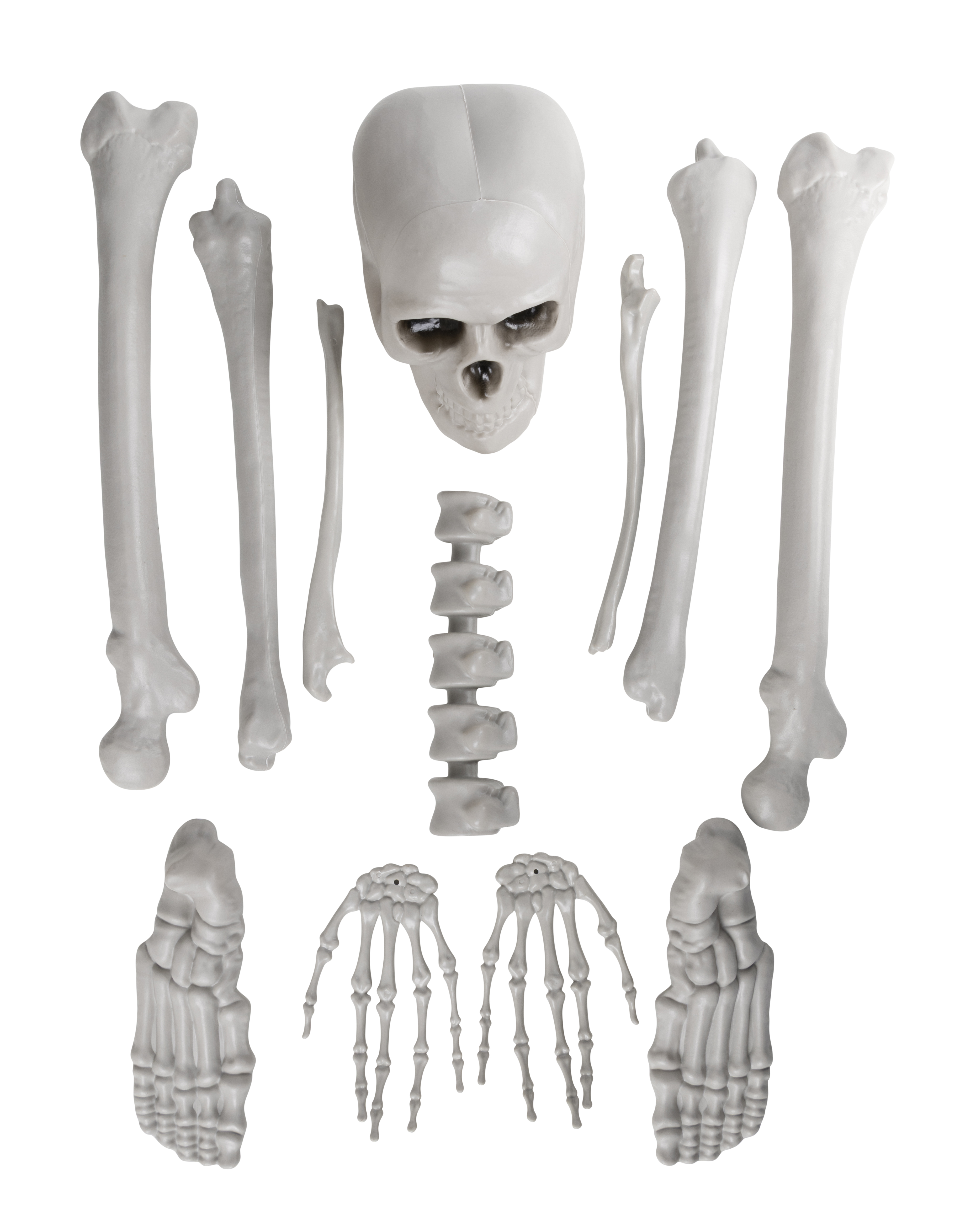 Skeleton parts H160 