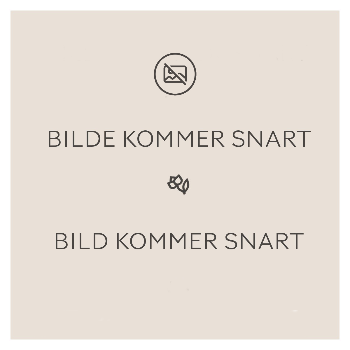 Sweet cherry 'Sam' P. Colt