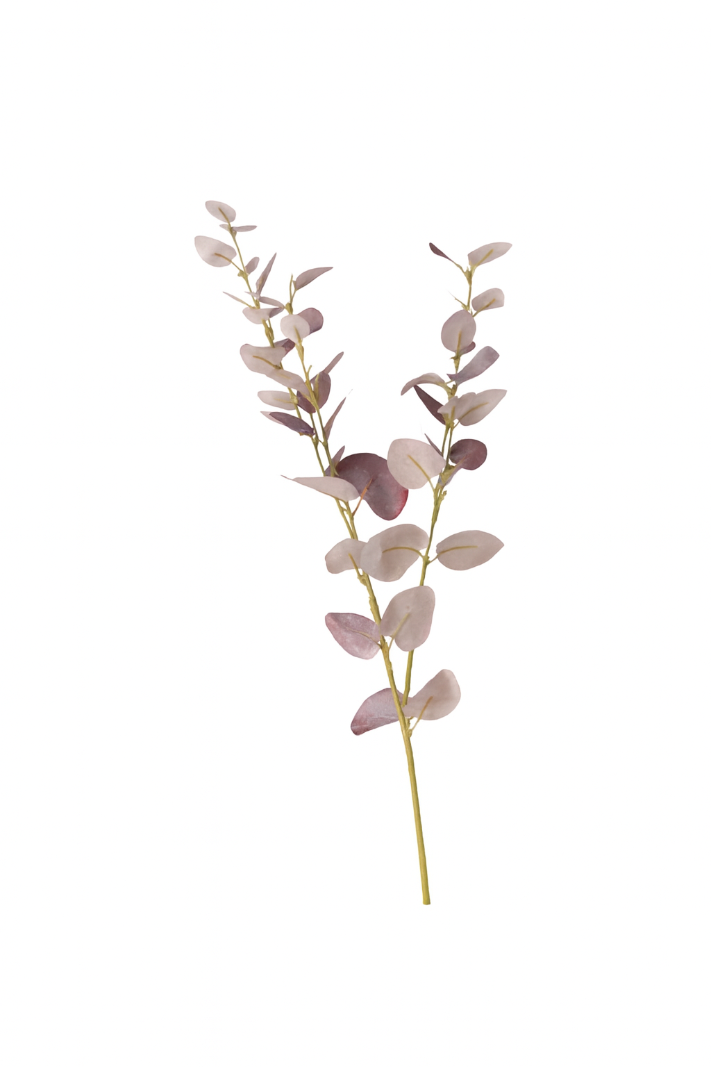 Eucalyptus kvist kunstig