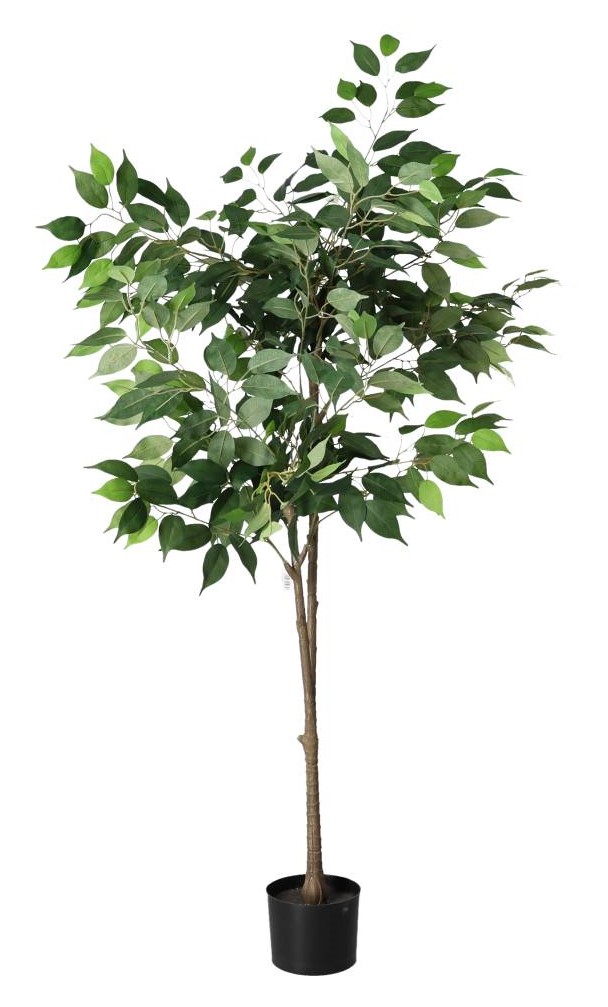 Ficus potted artificial