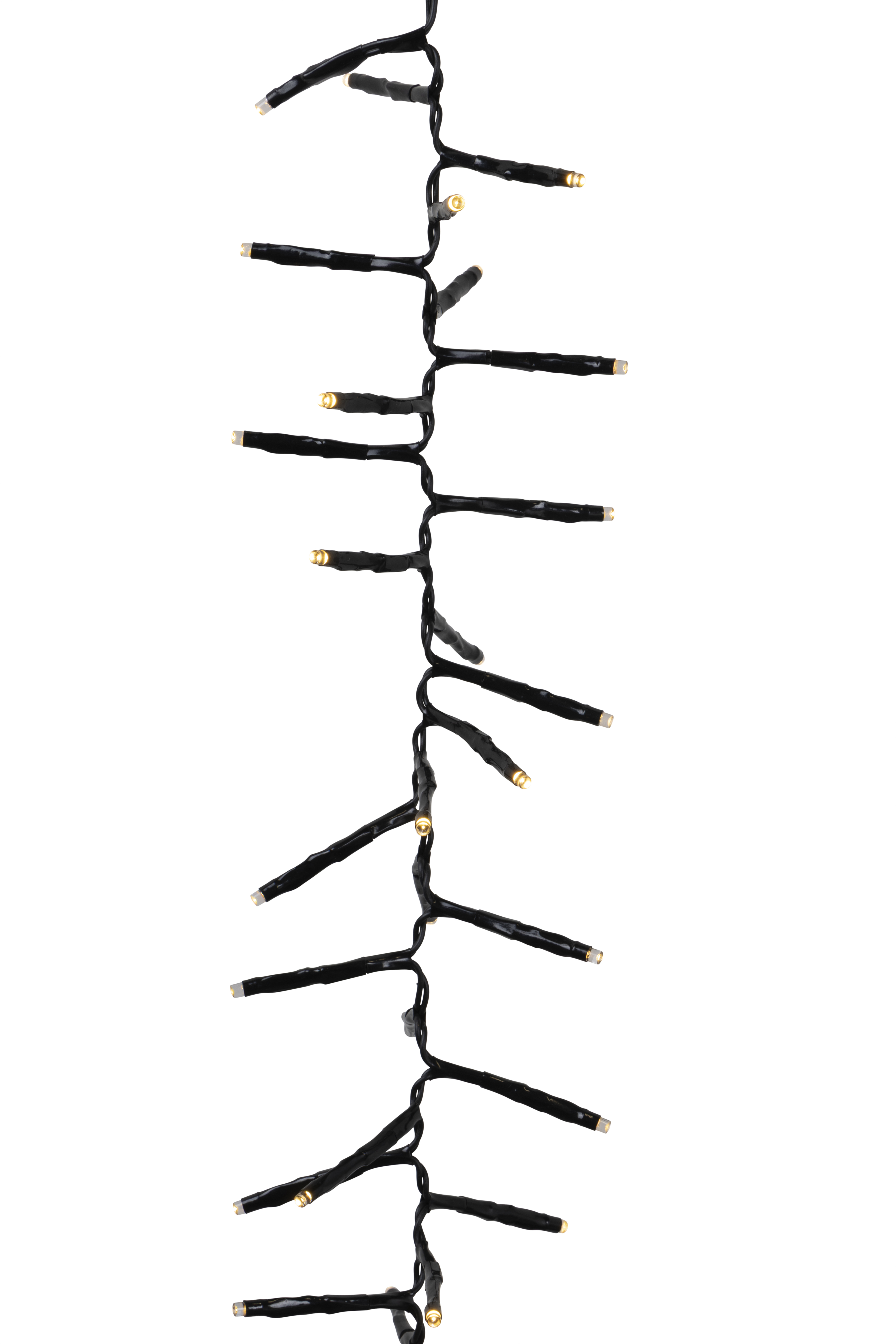 Light Chain Complete Cluster