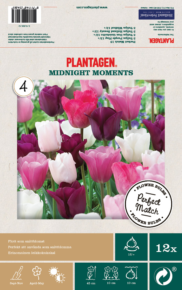 Tulpanmix Midnight Moments - 12 st