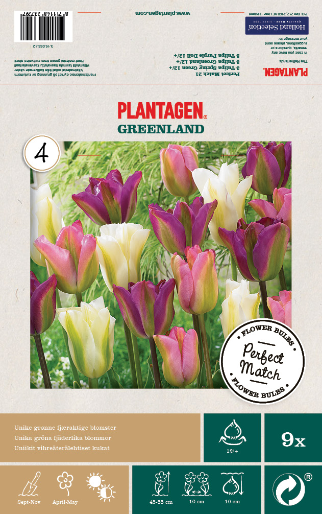 Tulpanmix Greenland Blend - 9 st