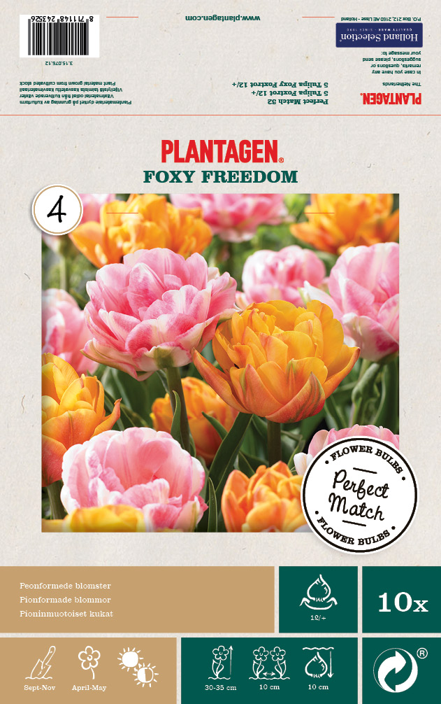 Tulpanmix Foxy Freedom - 10 st