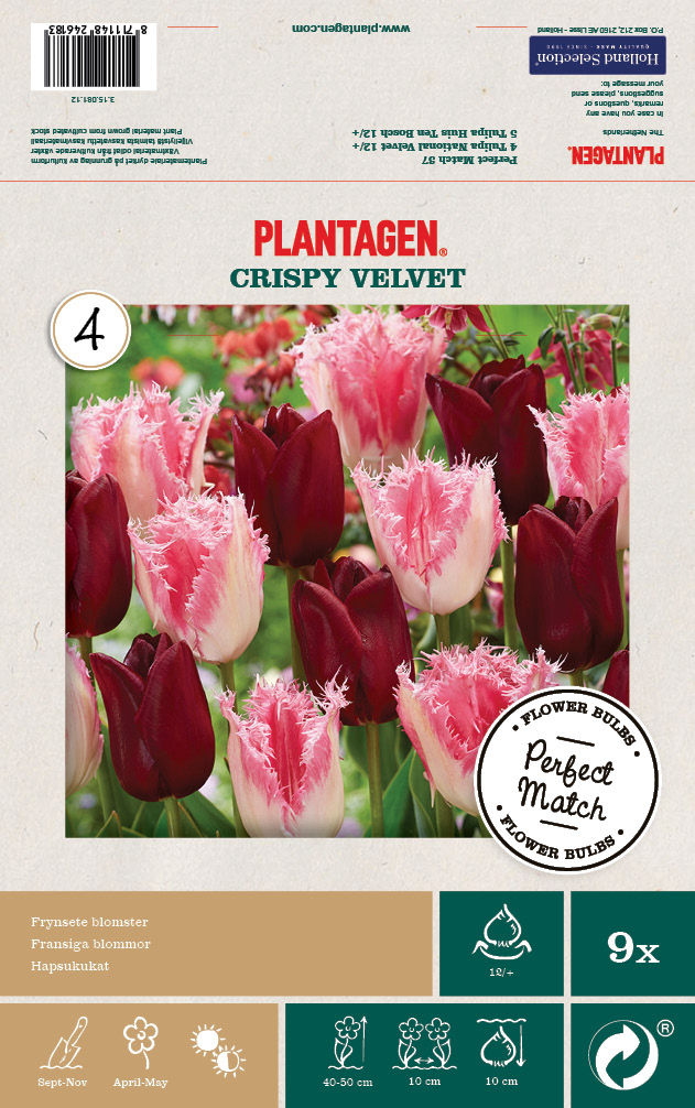 Tulip Mix Crispy Velvet - 9 bulbs