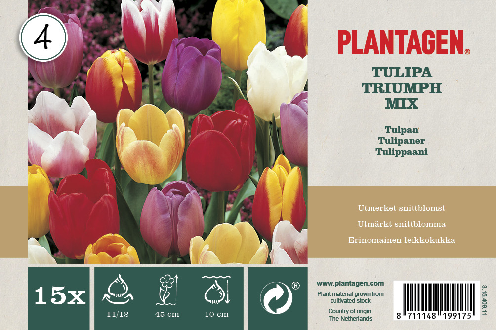 Tulpanmix Triumph - 15 st