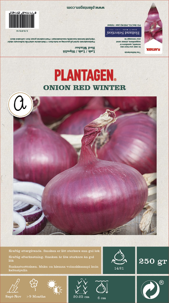 Rödlök 'Red Winter' - 250g