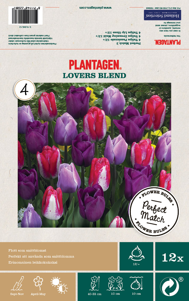 Tulpanmix Lovers Blend