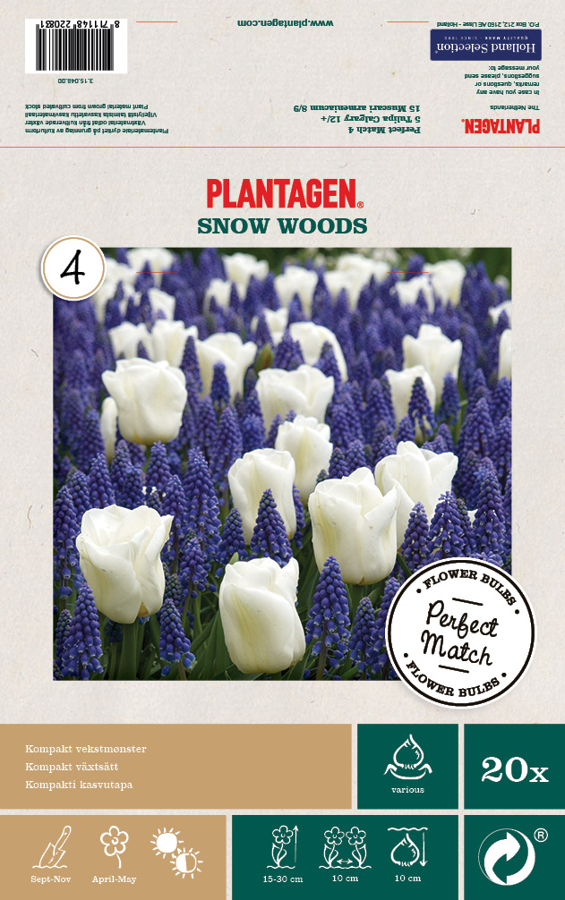 Mix Tulip/Muscari - 20 bulbs