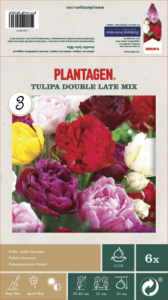 Tulpanblandning Double Late - 6 st