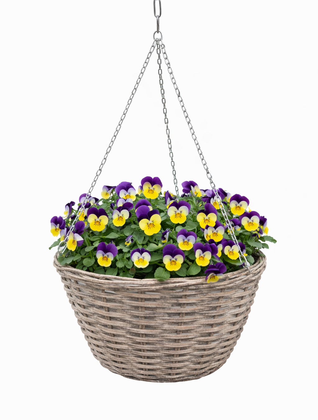 Edith hanging basket D31 grey