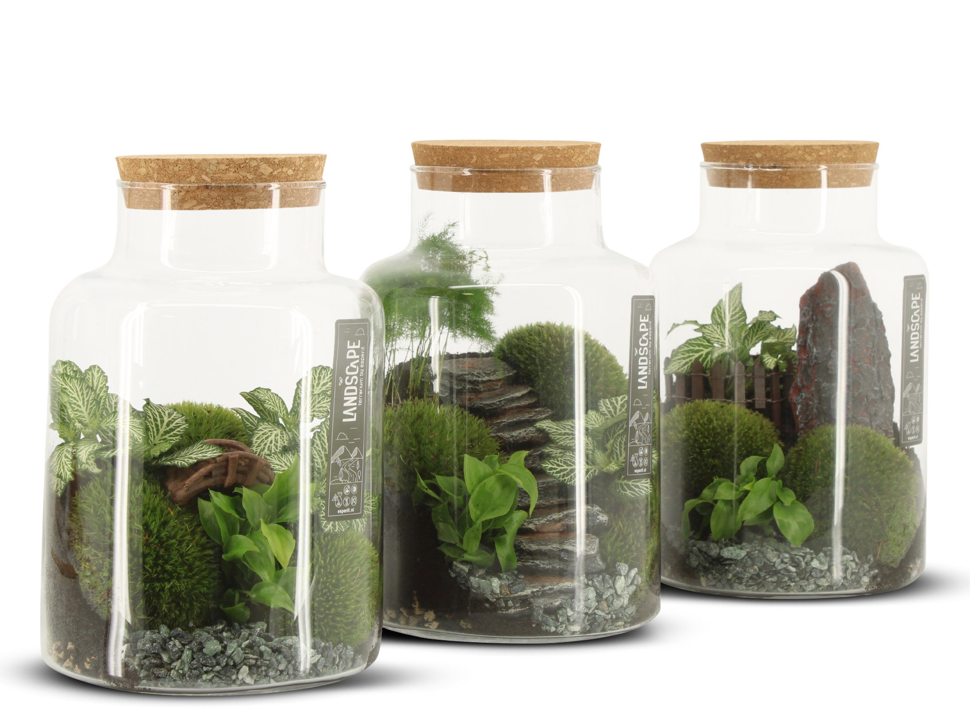 Terrarium i glas