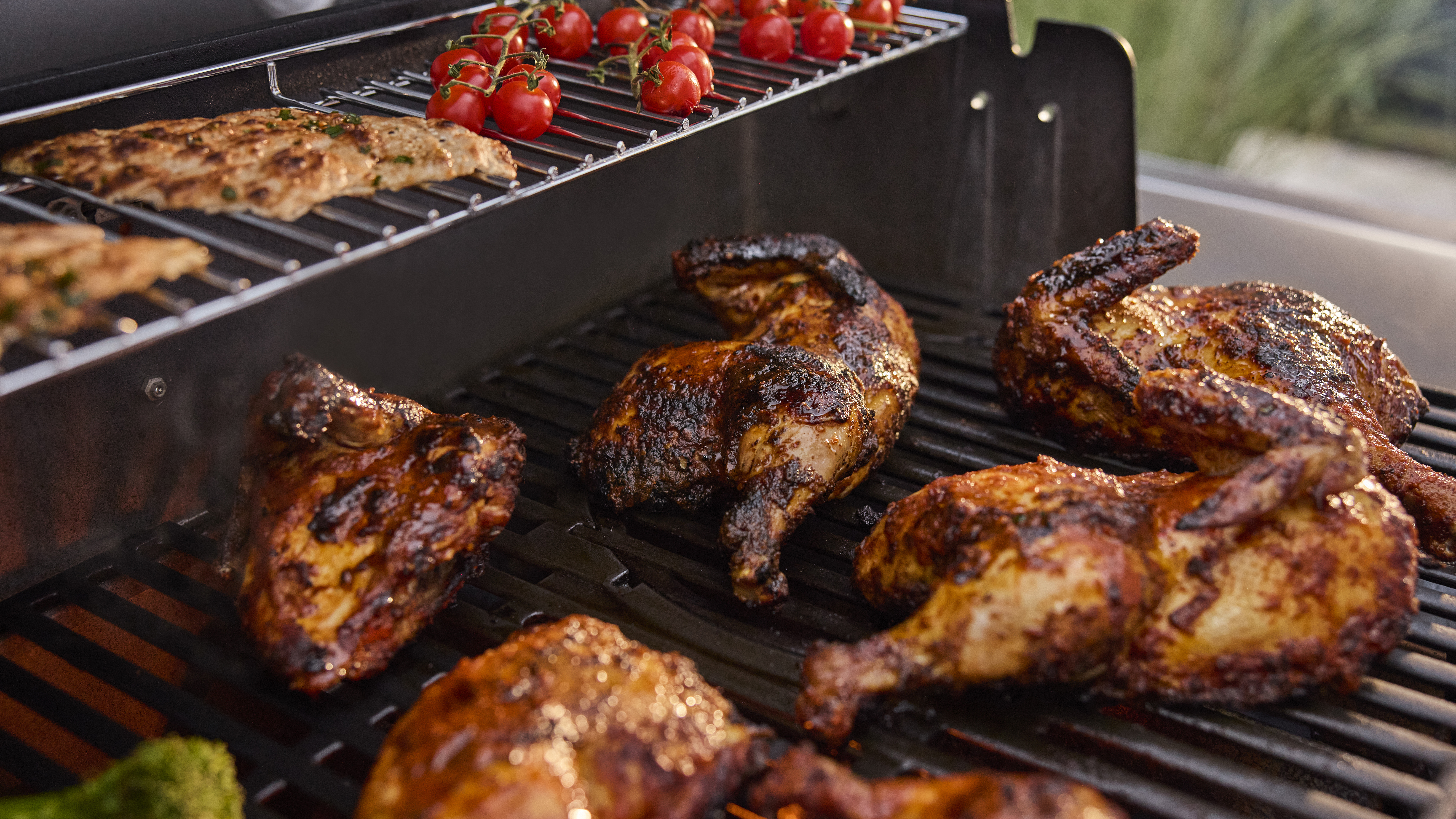 Gassgrill Genesis E-315