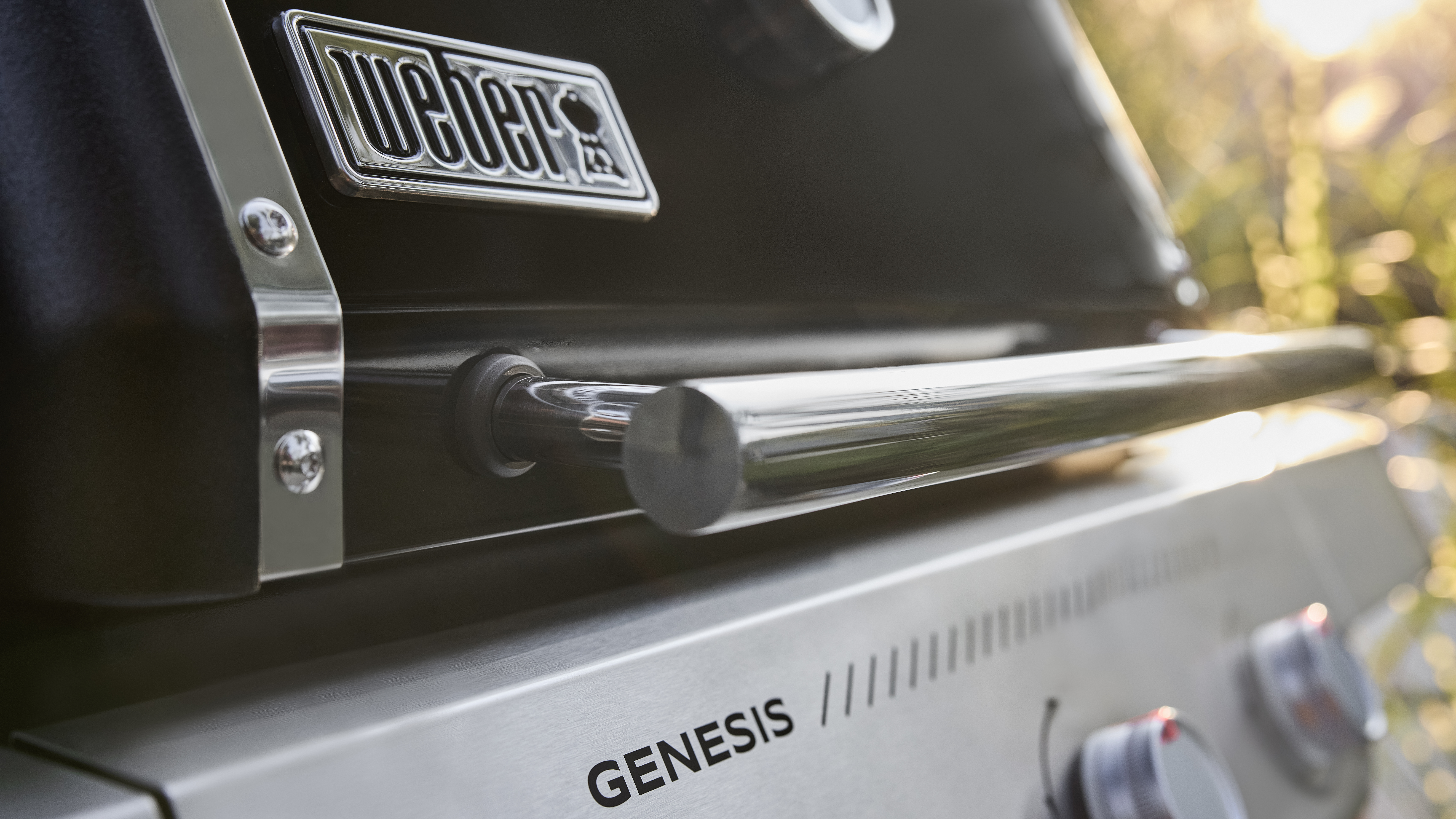 Gassgrill Genesis E-315