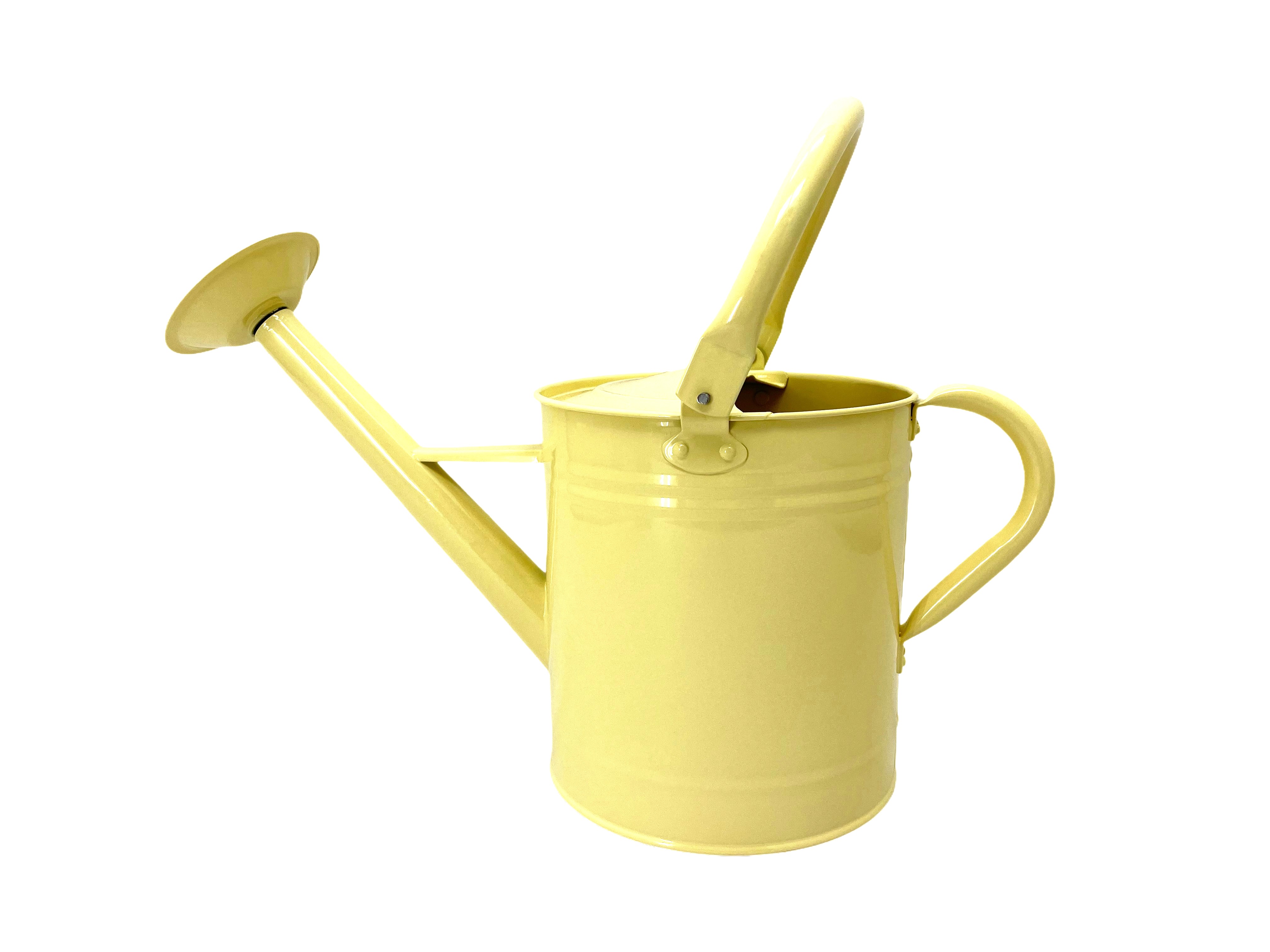 Klassisk vattenkanna 5L