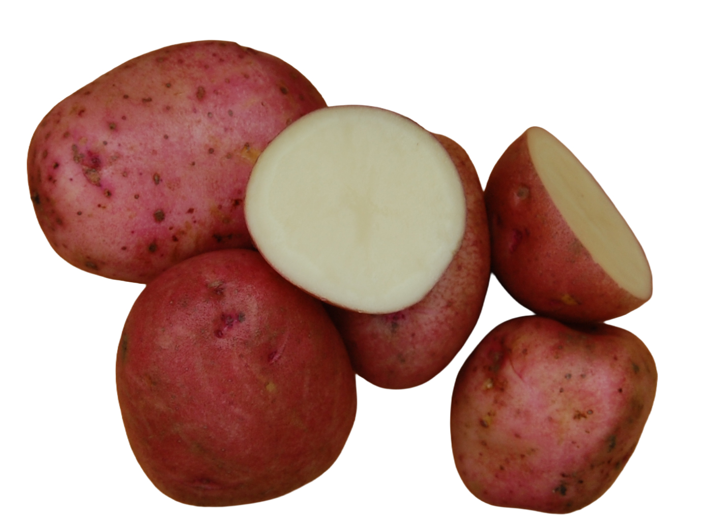 Potato Beate 1KG
