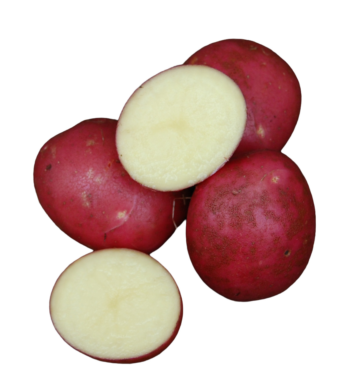 Settepotet Nansen 2,5 kg