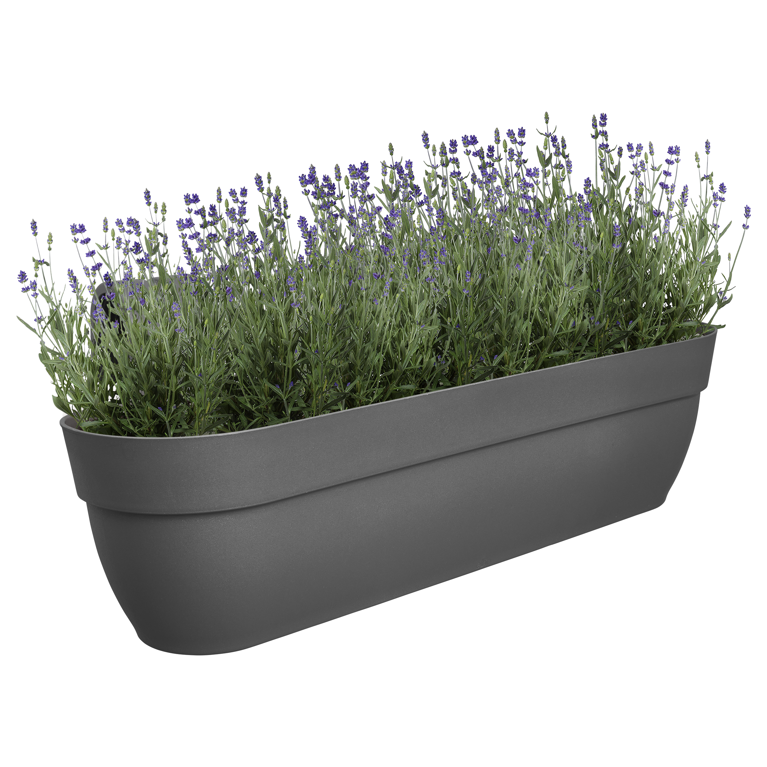 Balkongkasse Vibia Campana 