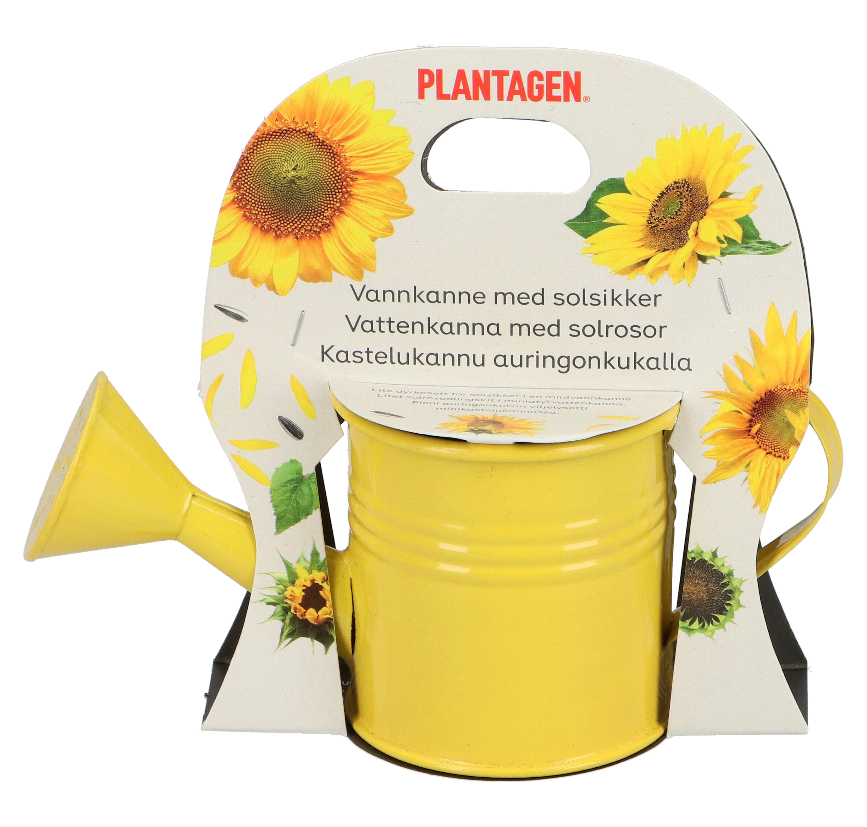 Minikruka med jord och minisolrosfrön