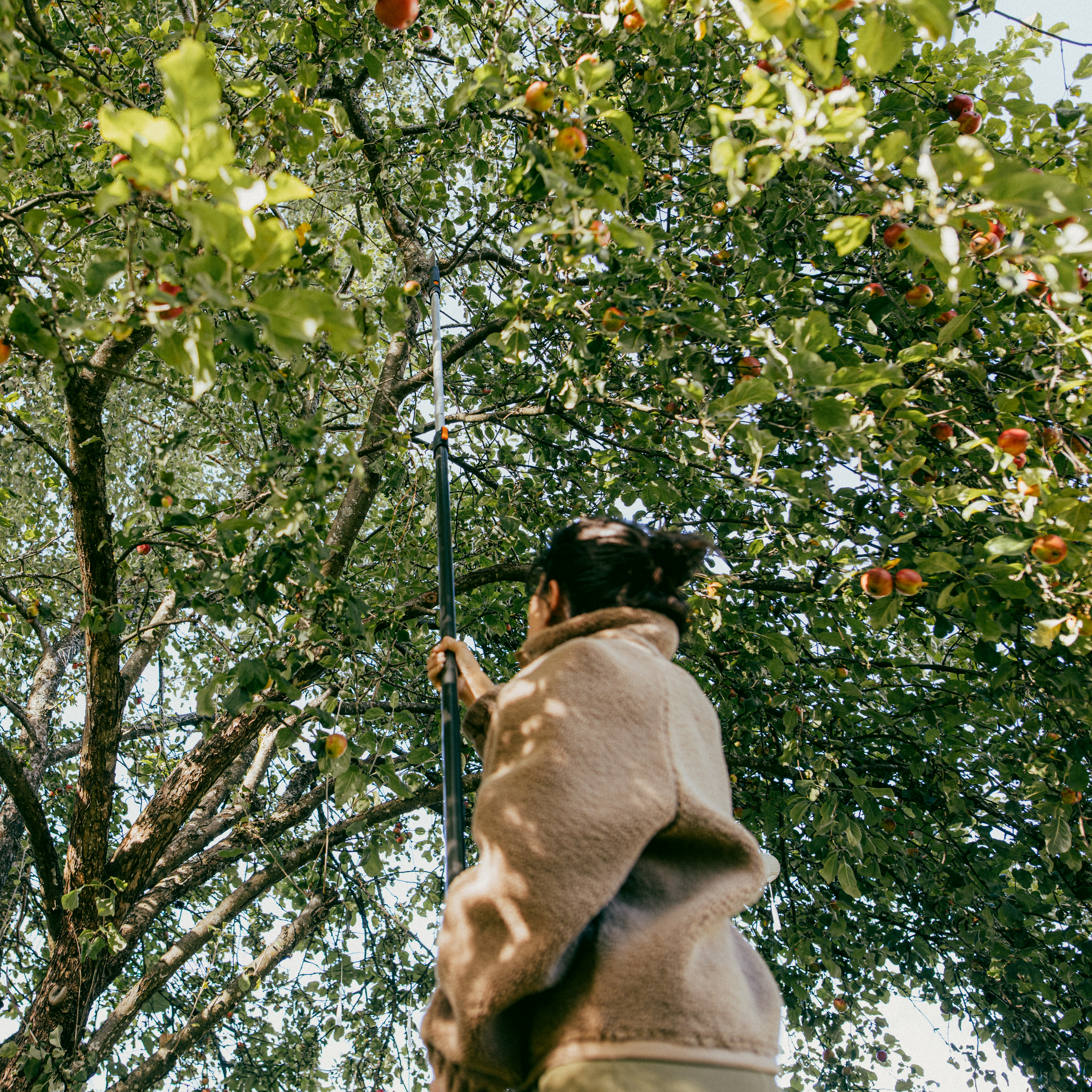 OneClick Teleskopskaft 220–404 cm