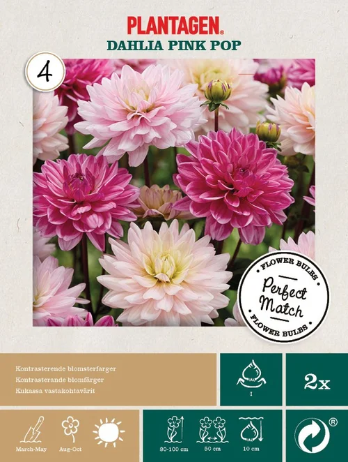 Perfekt Matchning - Dahlia Pink Pop