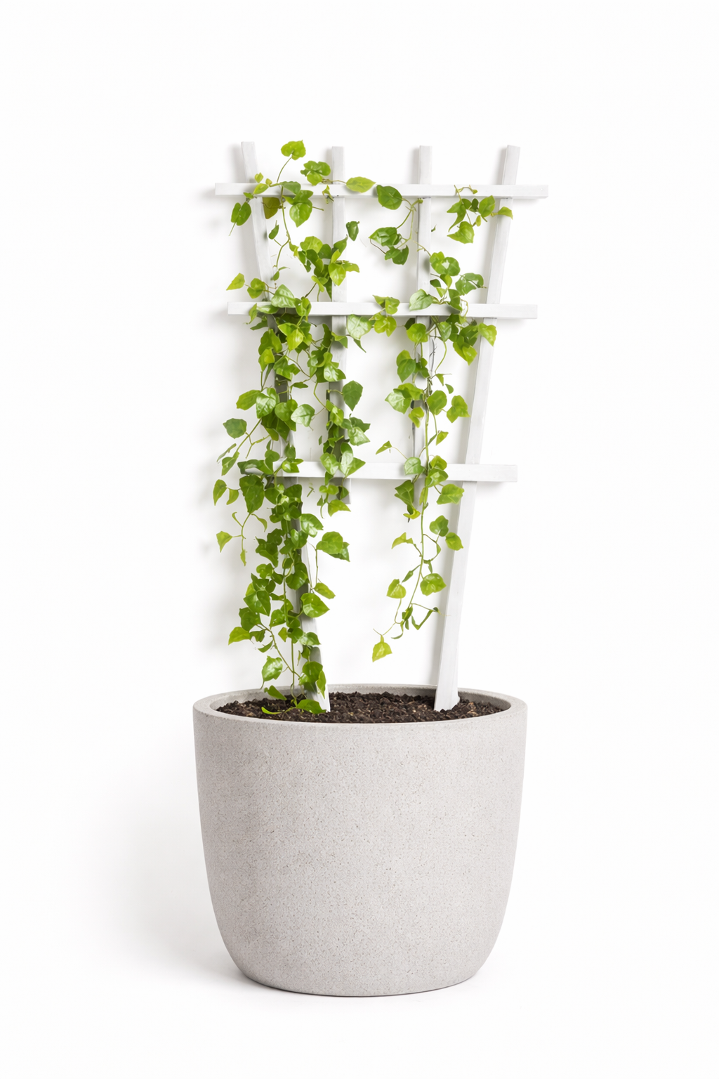 Bamboo plant support white