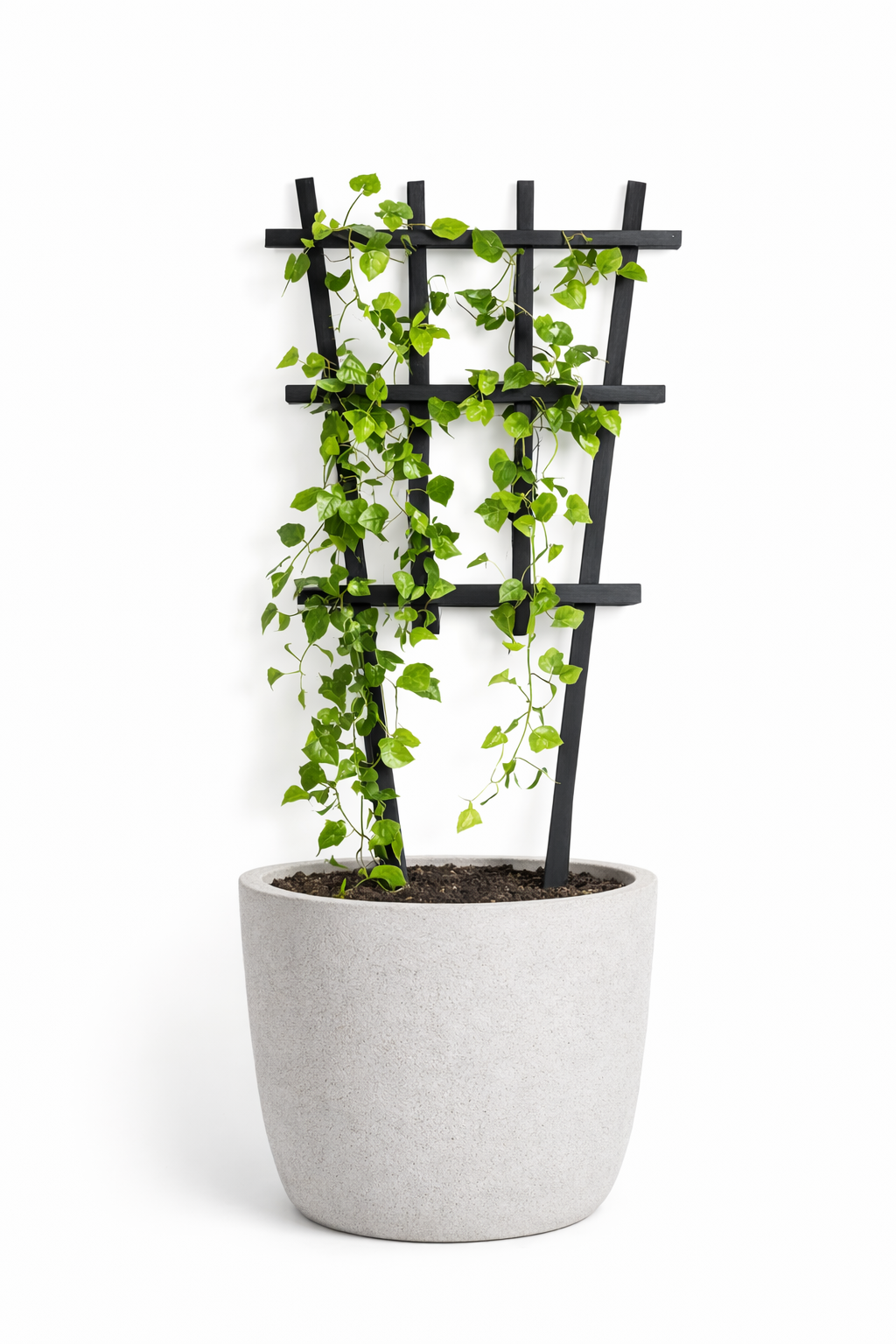 Bamboo plant support black
