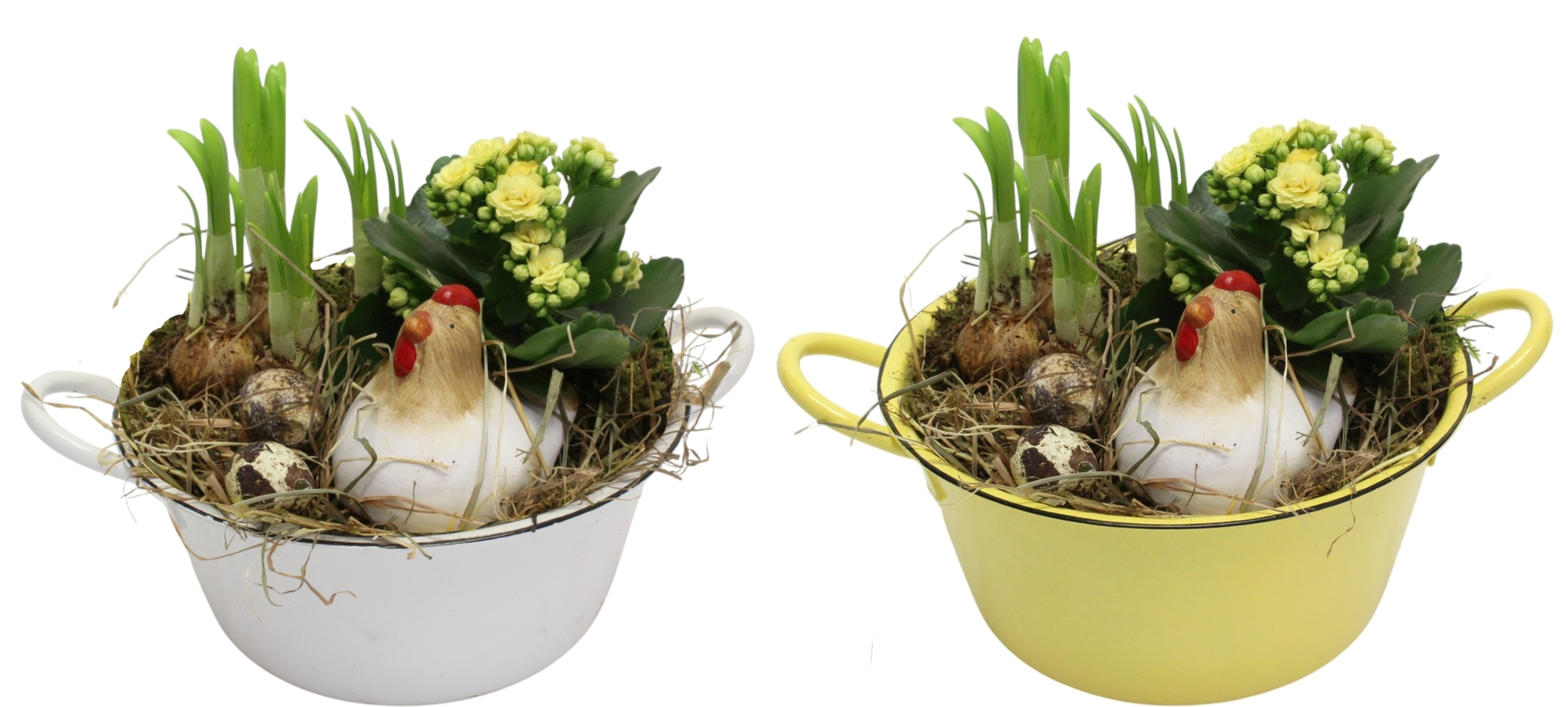 Påsk plantering med Kalanchoe  