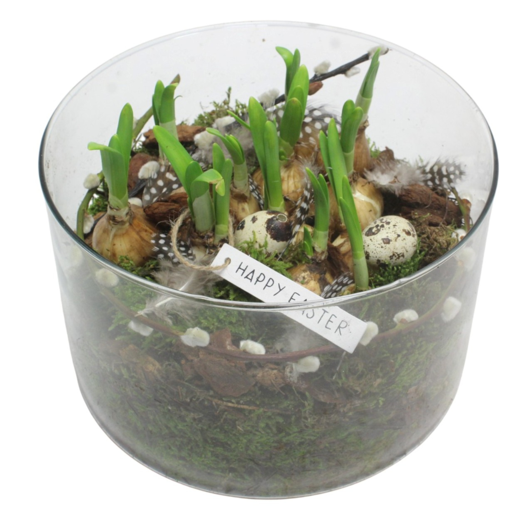 Glasskål med vårlökar