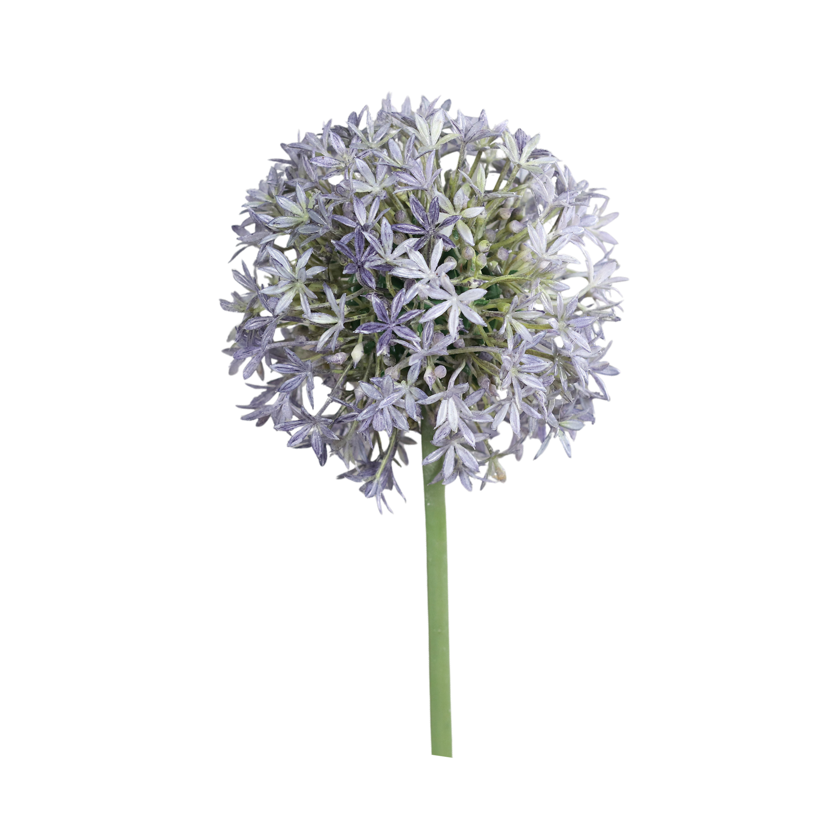 Allium snitt konstgjord