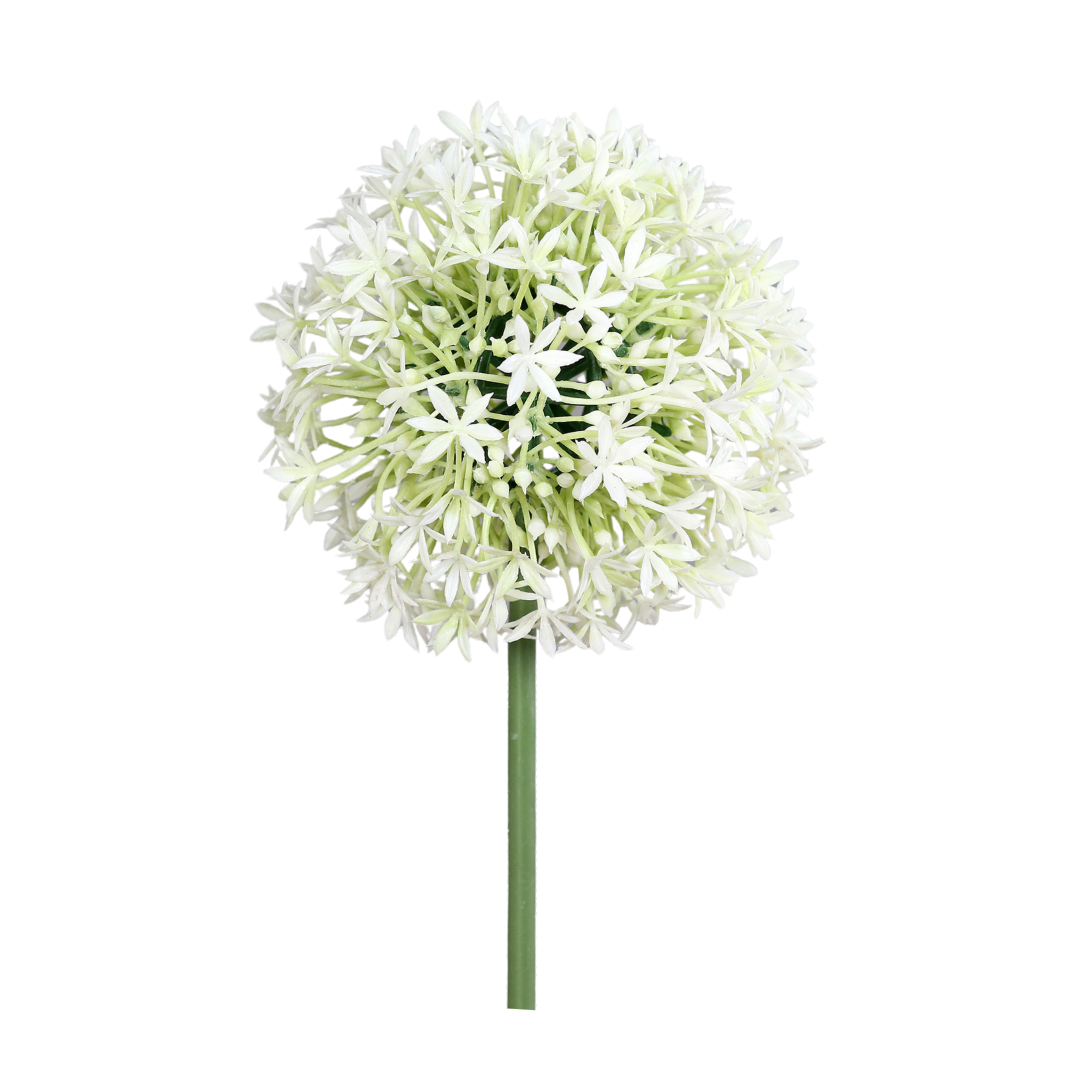 Allium snitt konstgjord
