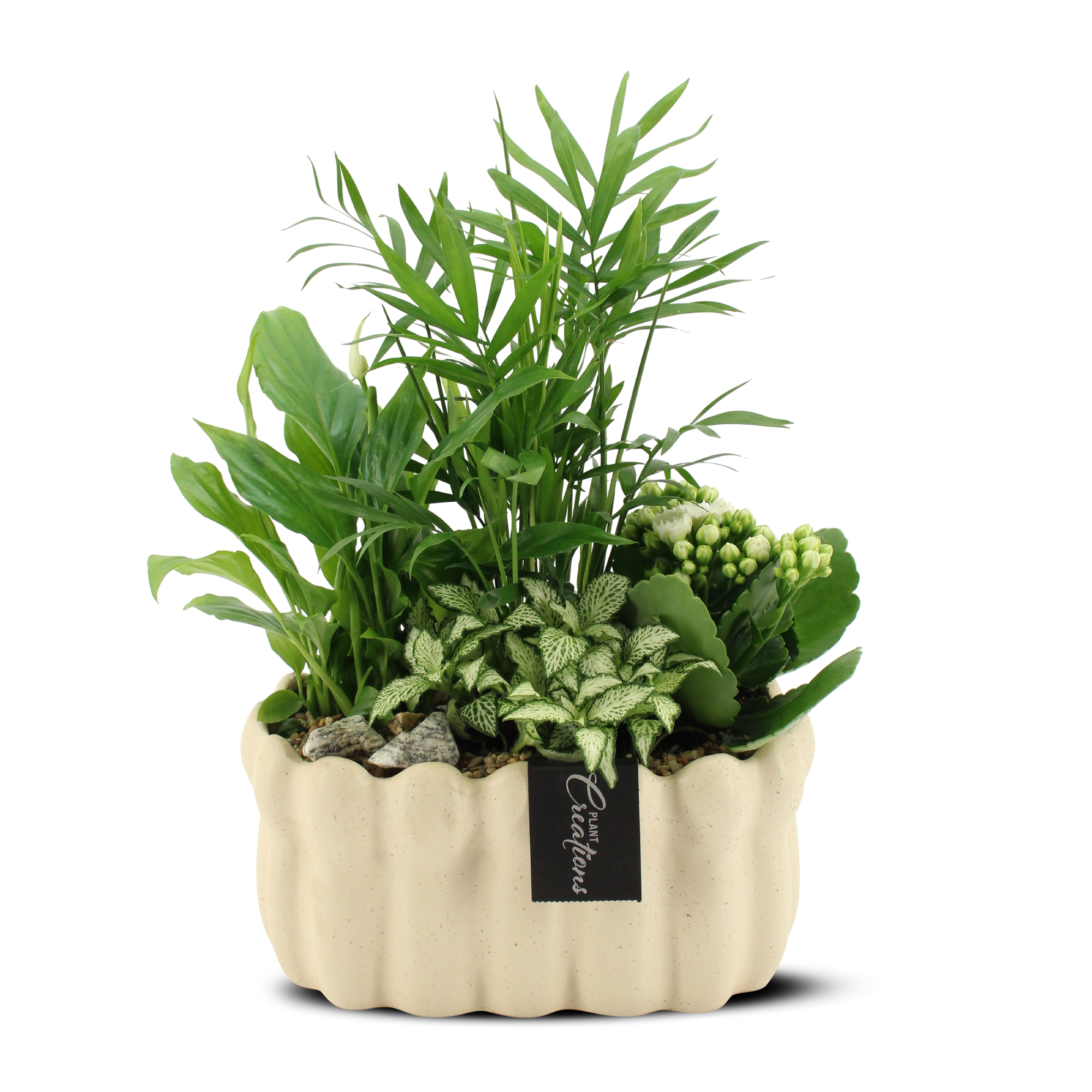 Plantering i grönt och vitt i beige vågig kruka