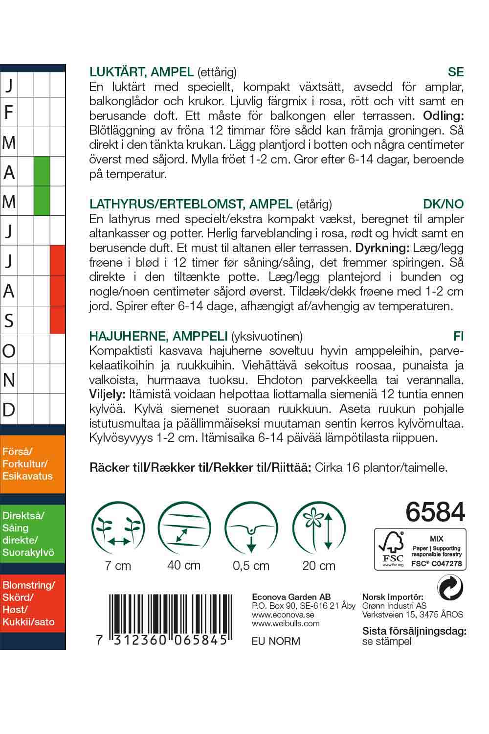 Luktärt, ampel 'Sugar'n spice'