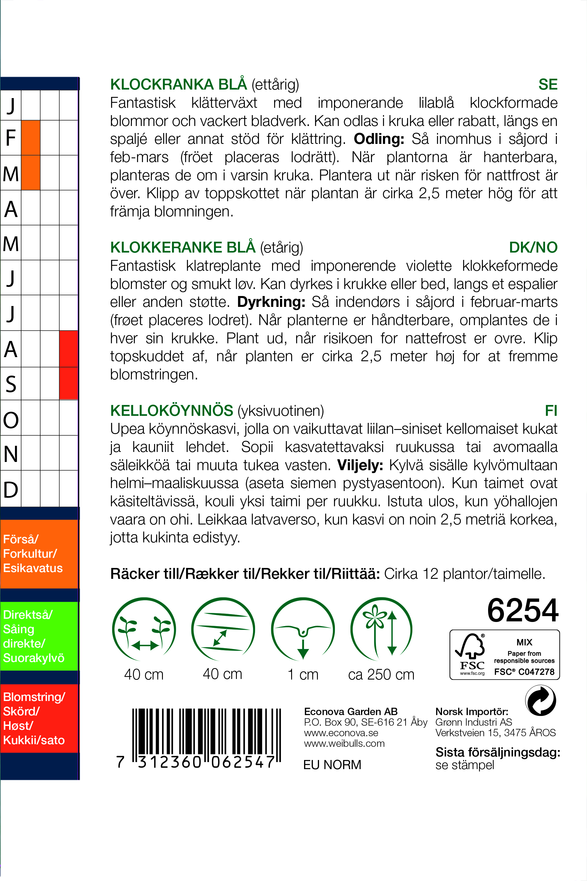 Klockranka Blå 'Violet'