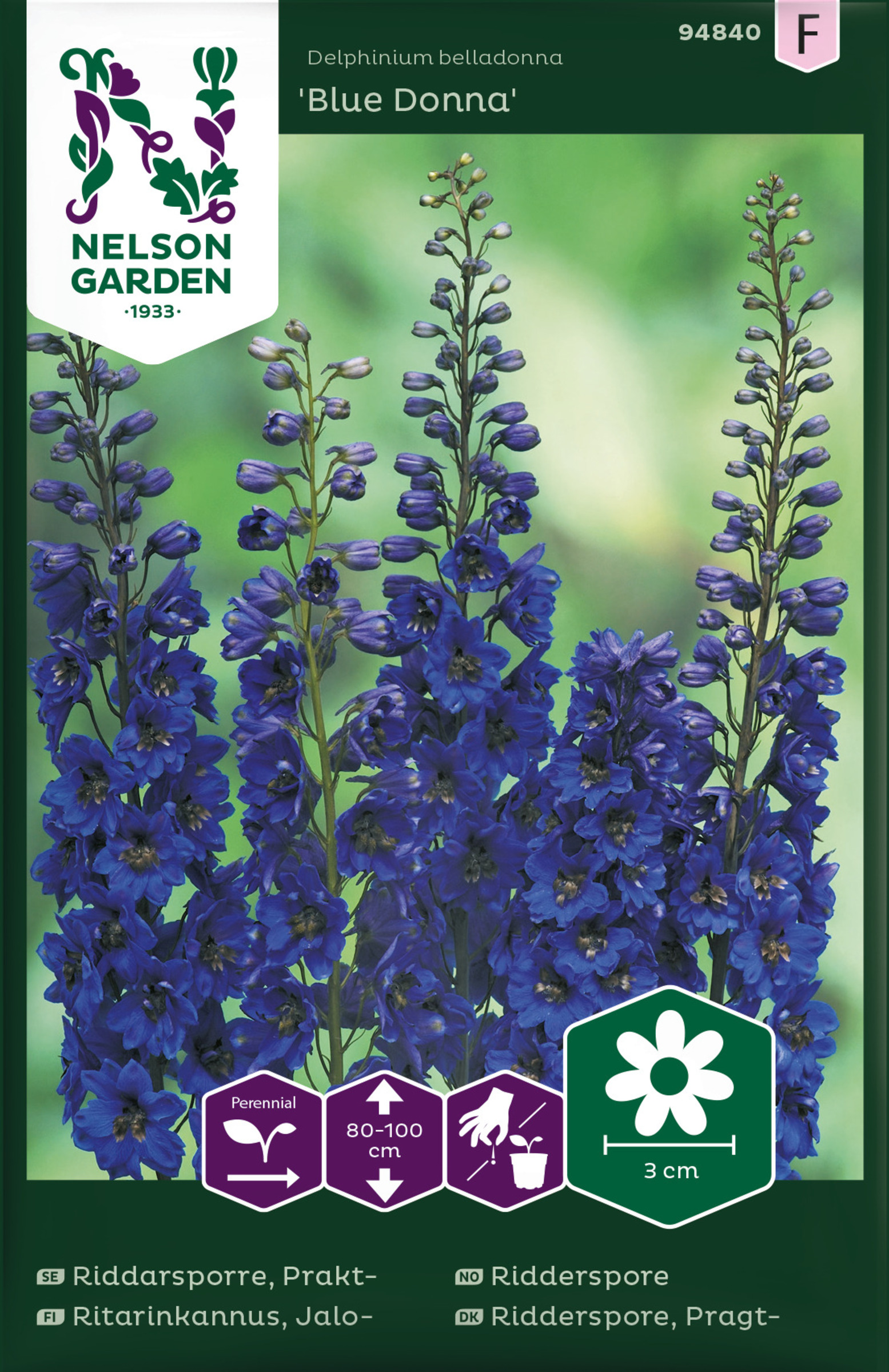 Praktridderspore 'Blue Donna'