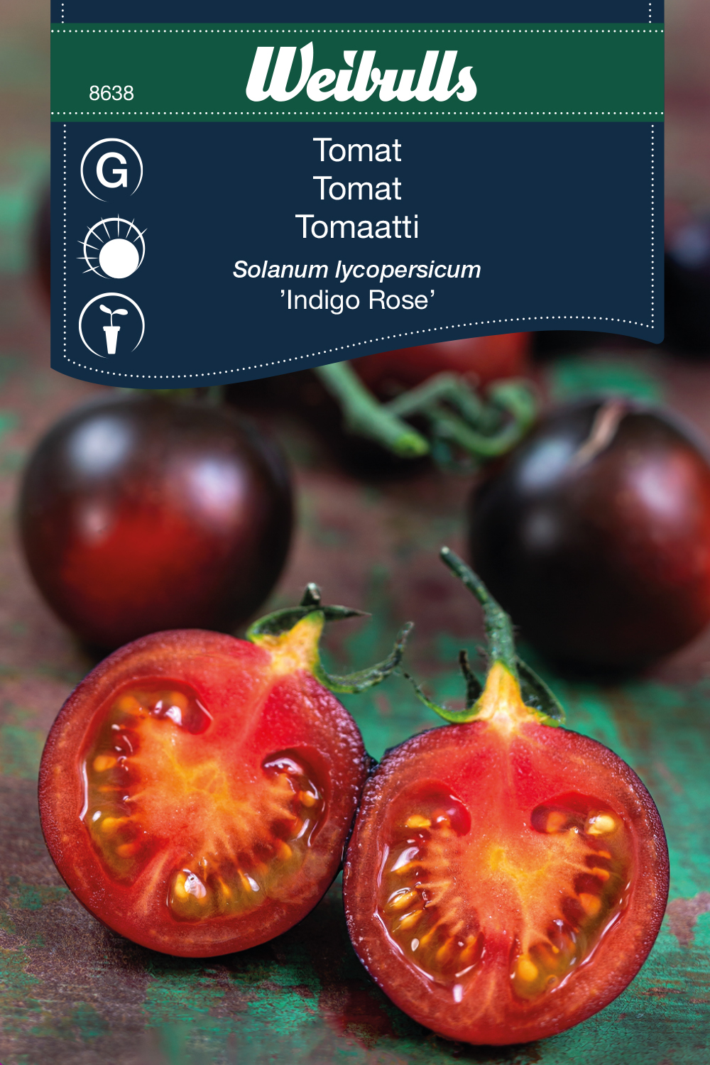 Tomat Indigo Rose