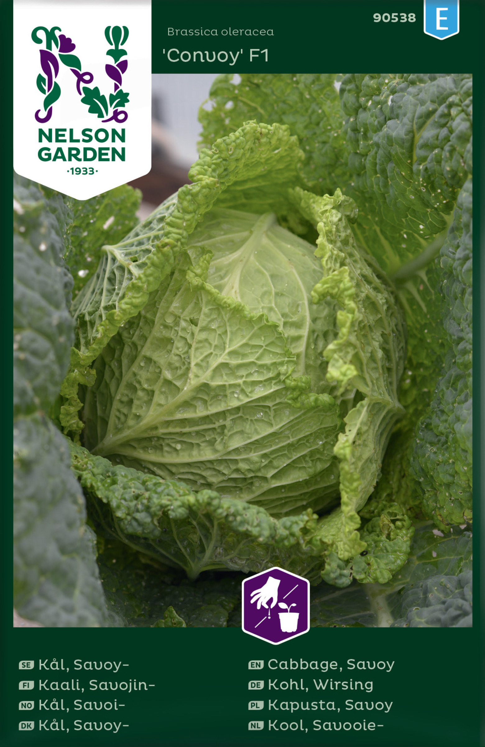 Kål, Savoj-, Convoy F1