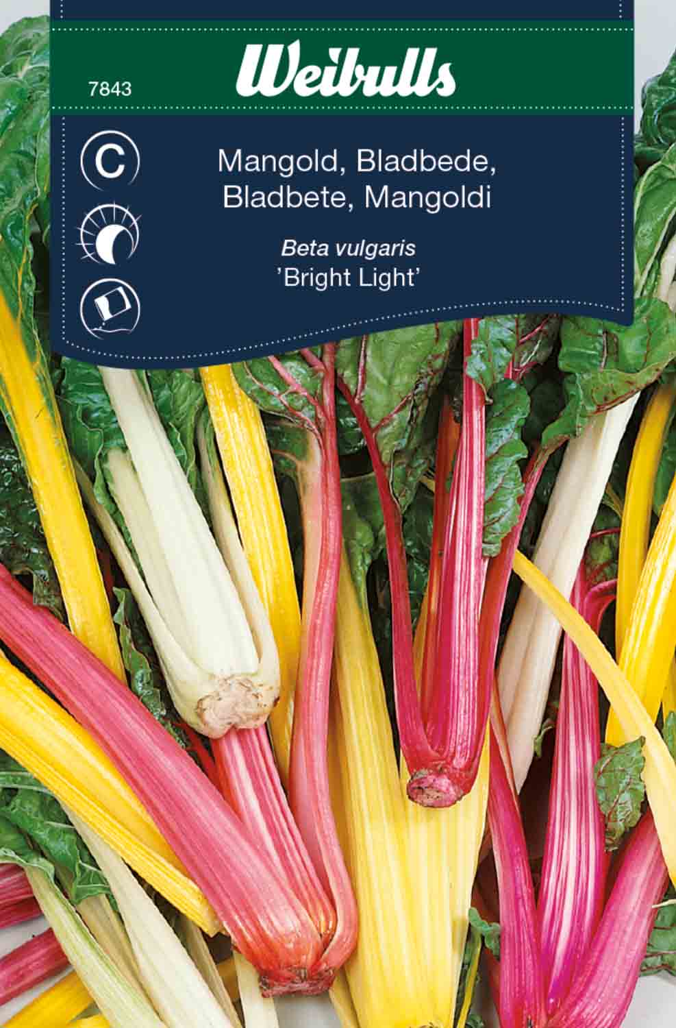 Mangold, mix 'Bright Light'